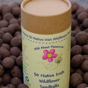 seedball tube